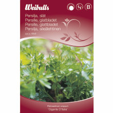 Persille, glattbladet "Gigante D'Italia"